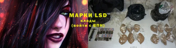 твердый Майский