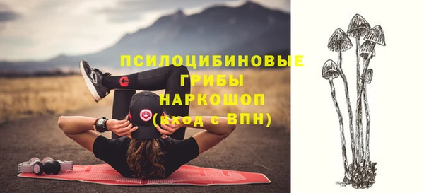 твердый Майский