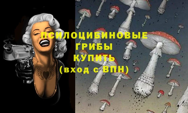 твердый Майский