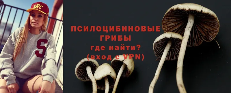 Галлюциногенные грибы GOLDEN TEACHER Яранск