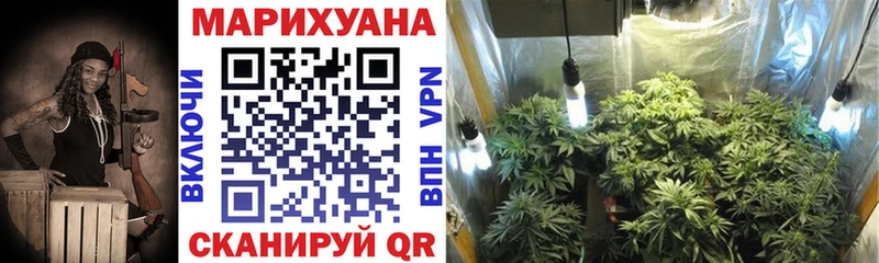 omg ссылки  Яранск  Шишки марихуана THC 21% 